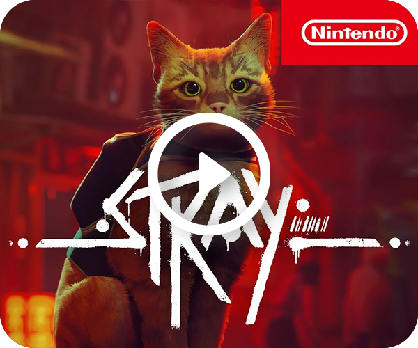 Stray Nintendo Switch