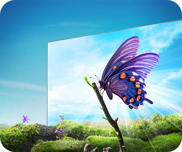 HISENSE A6N smart tv  τεχνολογία Precision Colour 